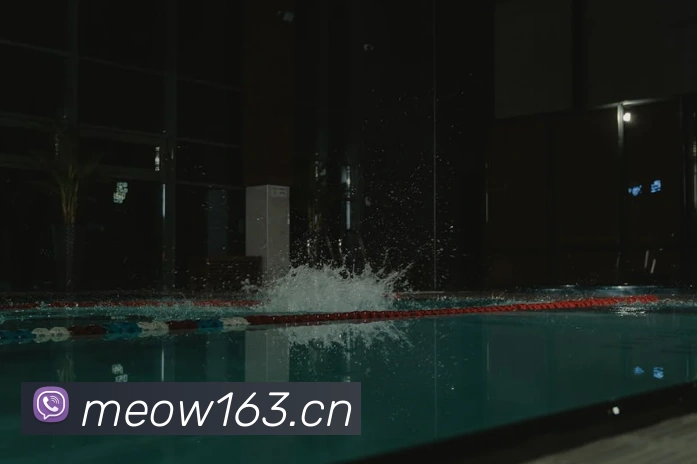 乐竞官网网页版入口服务体系